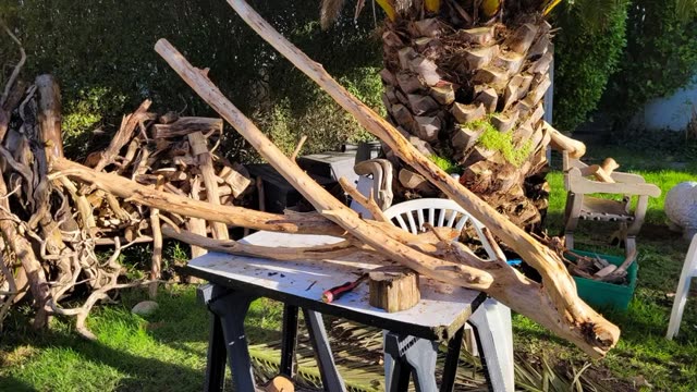 Bois flotté brut, avant transformation, pièce 1