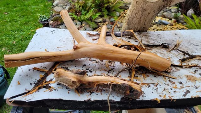 Bois flotté brut, avant transformation, pièce 6