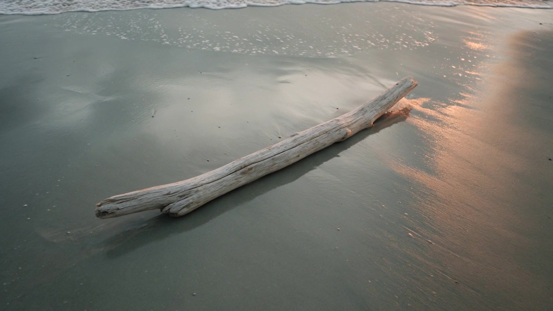Une branche de bois flotté posée sur le sable mouillé d'une grève bretonne, au soir